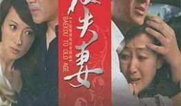 电视剧夫妻,携手共度风雨路