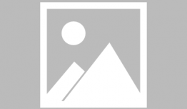 草麻豆,探寻古老植物的神奇功效与养生之道