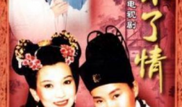 叶童演的电视剧,穿越时空的传奇人生