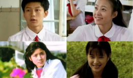90年代青春电视剧,90年代经典青春电视剧回顾